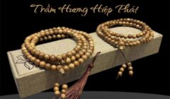 <P> Trầm Hương Là Gì<p>